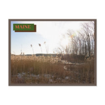 Brown Kittery Seapoint Beach Maine Natuur