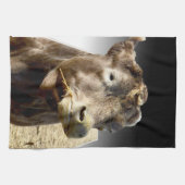 Brown Koe Munching Hay Face Theedoek (Horizontaal)
