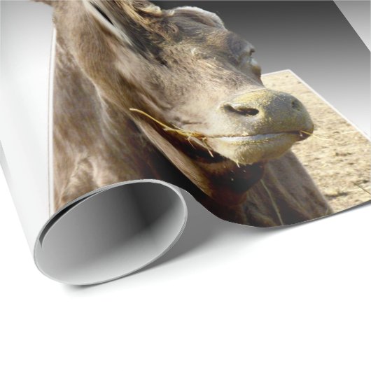 Brown Koe Munching on Hay, Cadeaupapier (Rol Hoek)