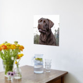 Brown Labrador Portrait Folie Afdrukken (Laag (Keuken))