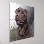 Brown Labrador Portrait Folie Afdrukken (Laagn)