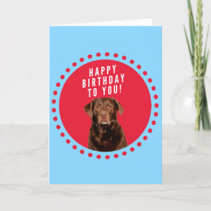 Brown Labrador Retriever Dog Happy Birthday Kaart