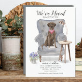 Brown Labrador Retriever Dog | Verplaatsingsaankon Aankondiging