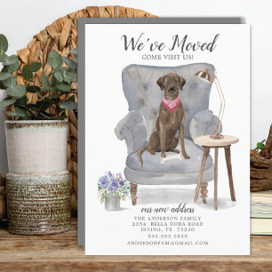 Brown Labrador Retriever Dog   Verplaatsingsaankon Aankondiging