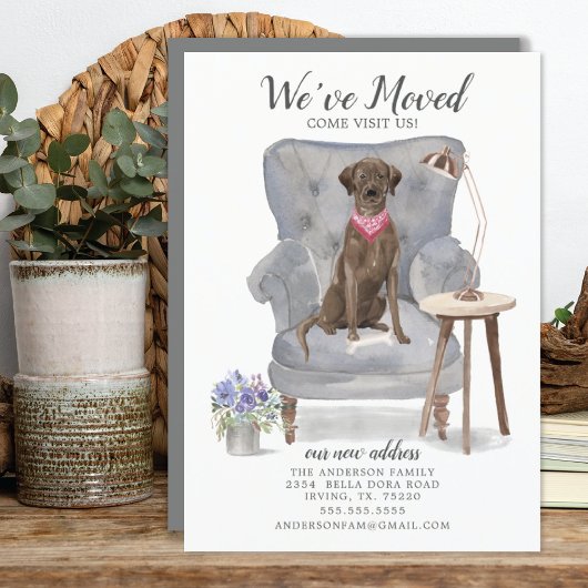 Brown Labrador Retriever Dog | Verplaatsingsaankon Aankondiging