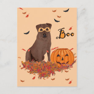 Brown Labrador Retriever Halloween Briefkaart