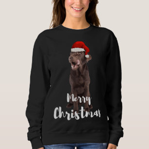 Brown Labrador Retriever Merry Kerstlabrador Trui