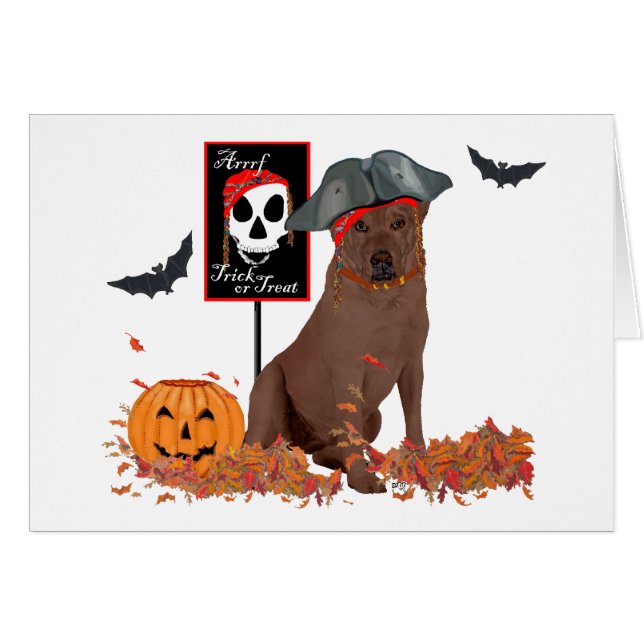 Brown Labrador Retriever Pirate (Voorkant Horizontaal)