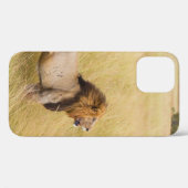 BROWN LION OP GRASSVELD TIJDENS DAG Case-Mate iPhone CASE (Achterkant (horizontaal))