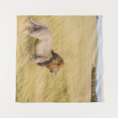 BROWN LION OP GRASSVELD TIJDENS DAG WANDKLEED (Voorkant (horizontaal))