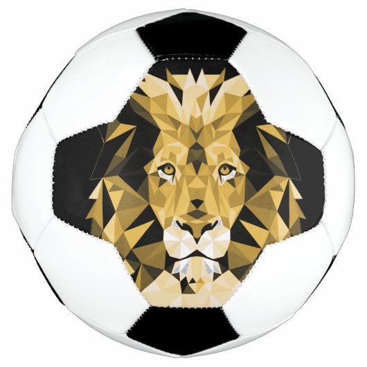 Brown Lion Voetbal (Voorkant)