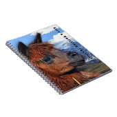 Brown Llama Andes Mountains Personalized Notitieboek (Rechterzijde)