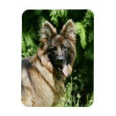 Brown Long Hazard German Shepherd 1 Magneet (Verticaal)