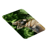 Brown Long Hazard German Shepherd 1 Magneet (Rechterzijde)