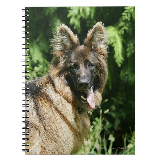 Brown Long Hazard German Shepherd 1 Notitieboek (Voorkant)