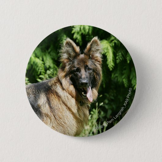 Brown Long Hazard German Shepherd 1 Ronde Button 5,7 Cm (Voorkant)