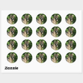 Brown Long Hazard German Shepherd 1 Ronde Sticker (Vel)