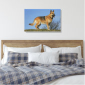 Brown Long Hazard German Shepherd 2 Canvas Afdruk (Insitu (Slaapkamer))