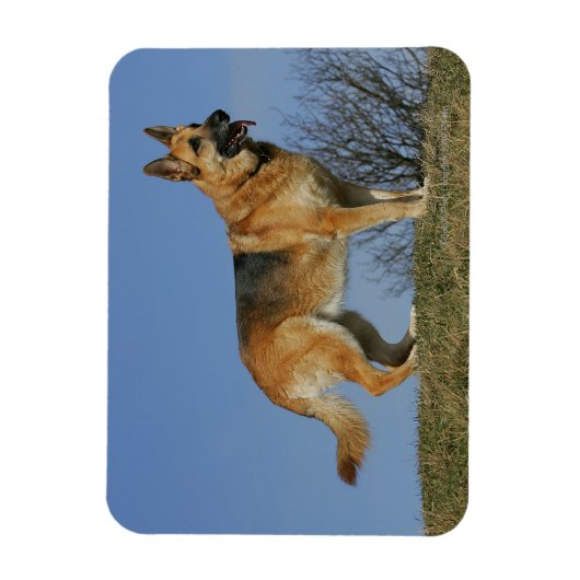 Brown Long Hazard German Shepherd 2 Magneet (Verticaal)