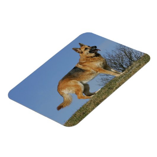 Brown Long Hazard German Shepherd 2 Magneet (Linkerzijde)