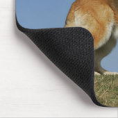 Brown Long Hazard German Shepherd 2 Muismat (Hoek)