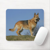 Brown Long Hazard German Shepherd 2 Muismat (Met muis)