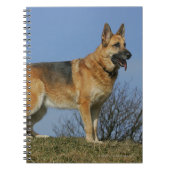Brown Long Hazard German Shepherd 2 Notitieboek (Voorkant)