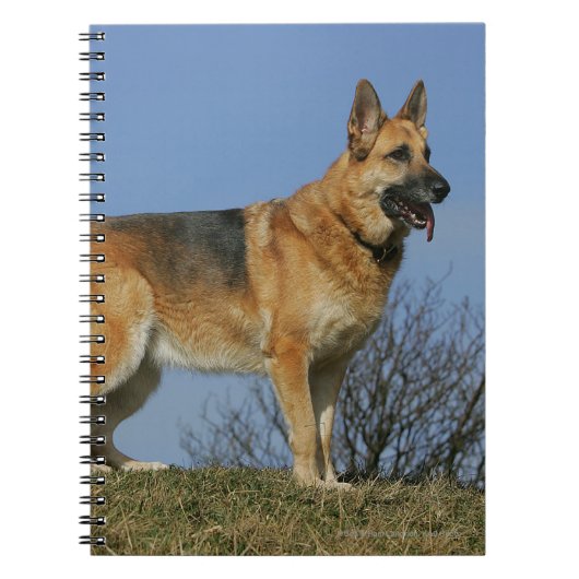 Brown Long Hazard German Shepherd 2 Notitieboek (Voorkant)