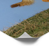 Brown Long Hazard German Shepherd 2 Poster (Hoek)