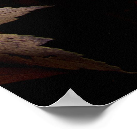 BROWN MAPLE LEAVES POSTER (Hoek)