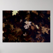 BROWN MAPLE LEAVES POSTER (Voorkant)