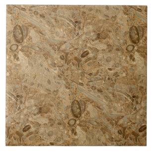 Brown Marble Fossil Kijk Tegeltje