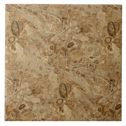 Brown Marble Fossil Kijk Tegeltje (Voorkant)