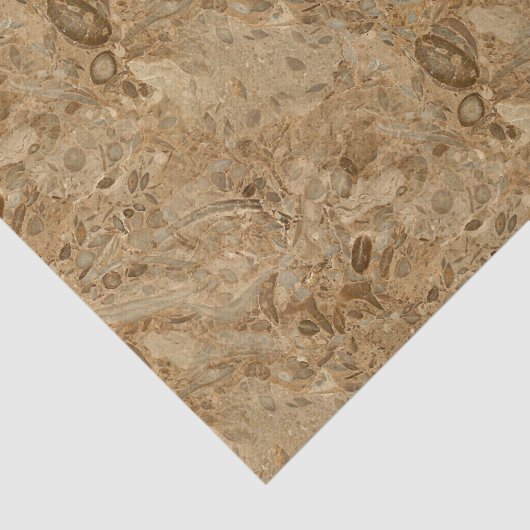 Brown Marble Fossil Kijk Tissuepapier (Detail)