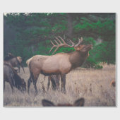 BROWN MOOSE NEAR GREEN TREE OP DAGTIME CADEAUPAPIER (Vlak)