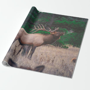 BROWN MOOSE NEAR GREEN TREE OP DAGTIME CADEAUPAPIER