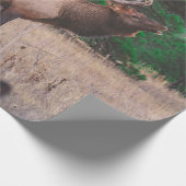 BROWN MOOSE NEAR GREEN TREE OP DAGTIME CADEAUPAPIER (Hoek)
