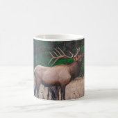 BROWN MOOSE NEAR GREEN TREE OP DAGTIME KOFFIEMOK (Center)