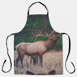 BROWN MOOSE NEAR GREEN TREE OP DAGTIME SCHORT