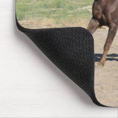 Brown Morgan Horse Running Muismat (Hoek)