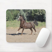 Brown Morgan Horse Running Muismat (Met muis)
