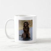 Brown Newfie Koffiemok (Links)