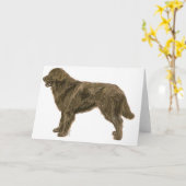 Brown Newfoundland Dog Kaart (Gele Bloem)