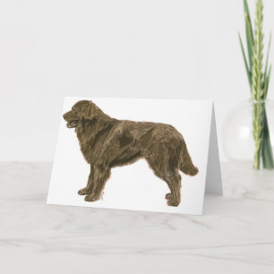 Brown Newfoundland Dog Kaart