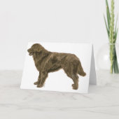 Brown Newfoundland Dog Kaart (Voorkant)