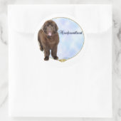 Brown Newfoundland Portrait Sticker (Tas)