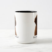 Brown Newfoundland Puppy Mokken & meer (Center)