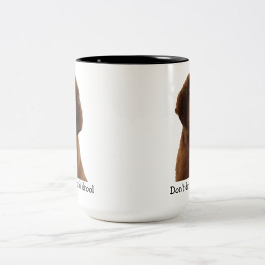 Brown Newfoundland Puppy Mokken & meer (Center)