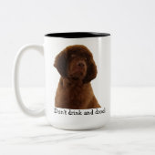 Brown Newfoundland Puppy Mokken & meer (Links)