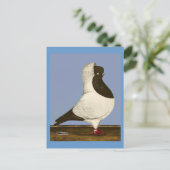Brown Nun Pigeon Briefkaart (Staand voorkant)